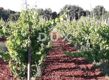 Zemljiste, Rovinj, prodaja, 500000 €, 15966 m2