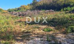 Zemljiste, Buje, prodaja, 32000 €, 6039 m2