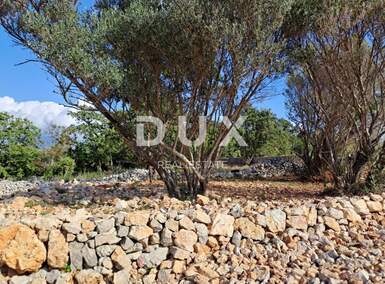 Zemljiste, Dobrinj, Šilo, prodaja, 22999 €, 217 m2