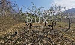 Zemljiste, Motovun, Kaldir, prodaja, 50000 €, 9500 m2