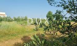 Zemljiste, Svetvinčenat, prodaja, 110000 €, 2200 m2