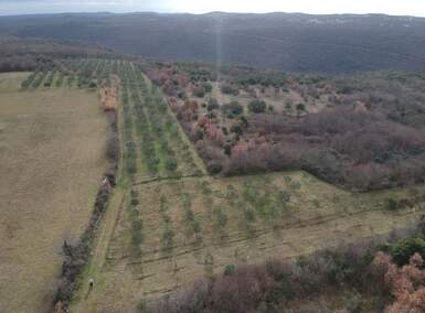 Zemljiste, Kanfanar, Jural, prodaja, 205000 €, 18771 m2