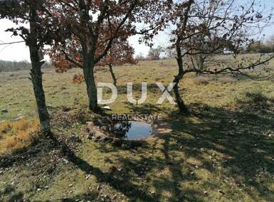 Zemljiste, Višnjan, Sveti Ivan, prodaja, 186000 €, 44600 m2