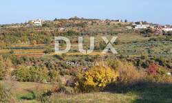 Zemljiste, Buje, Momjan, prodaja, 450000 €, 2649 m2