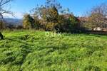 Zemljiste, Grožnjan, prodaja, 235000 €, 958 m2