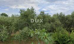 Zemljiste, Krk, Brzac, prodaja, 169000 €, 517 m2