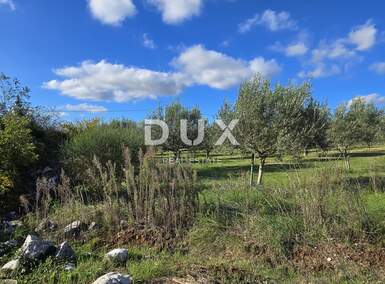 Zemljiste, Poreč, prodaja, 50000 €, 513 m2