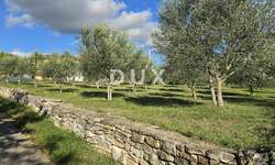 Zemljiste, Poreč, prodaja, 175000 €, 1369 m2