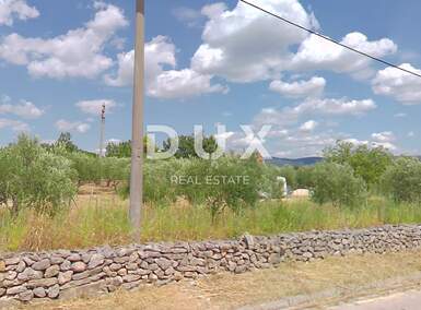 Zemljiste, Novigrad, Pridraga, prodaja, 87000 €, 1338 m2