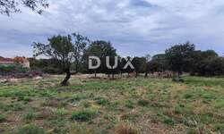 Zemljiste, Benkovac, Tinj, prodaja, 150000 €, 3596 m2