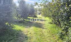 Zemljiste, Pula, Busoler, prodaja, 580000 €, 5793 m2