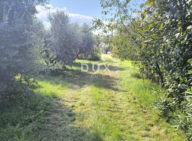 Zemljiste, Pula, Busoler, prodaja, 580000 €, 5793 m2