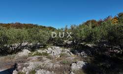 Zemljiste, Krk, prodaja, 161000 €, 8011 m2