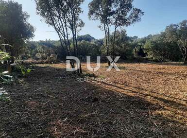 Zemljiste, Marčana, Krnica, prodaja, 21500 €, 502 m2