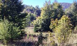 Zemljiste, Bakar, Zlobin, prodaja, 37000 €, 7470 m2