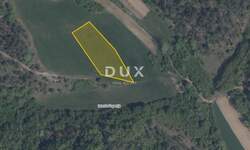 Zemljiste, Cerovlje, Novaki Pazinski, prodaja, 12000 €, 5132 m2