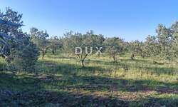 Zemljiste, Zadar, Crvene kuće, prodaja, 1357180 €, 6169 m2