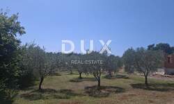 Zemljiste, Marčana, Filipana, prodaja, 71000 €, 686 m2