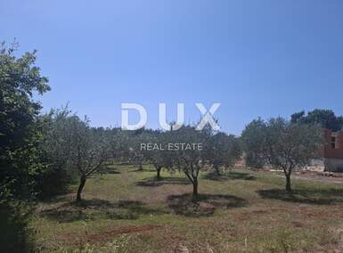 Zemljiste, Marčana, Filipana, prodaja, 71000 €, 686 m2