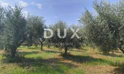 Zemljiste, Kaštelir-Labinci, Labinci, prodaja, 650000 €, 39000 m2