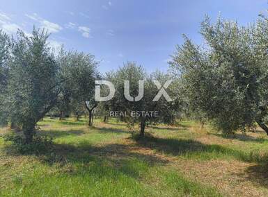 Zemljiste, Kaštelir-Labinci, Labinci, prodaja, 650000 €, 39000 m2