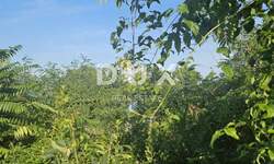 Zemljiste, Opatija, Poljane, prodaja, 259200 €, 1728 m2