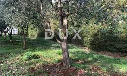 Zemljiste, Barban, Glavani, prodaja, 40000 €, 504 m2