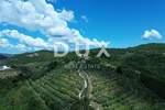 Zemljiste, Motovun, prodaja, 1955000 €, 167943 m2