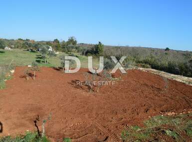 Zemljiste, Fažana, prodaja, 20000 €, 505 m2