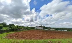 Zemljiste, Tinjan, prodaja, 88000 €, 1206 m2