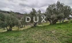 Zemljiste, Cerovlje, Grimalda, prodaja, 23500 €, 2529 m2