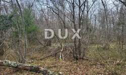 Zemljiste, Buzet, Sveti Donat, prodaja, 73000 €, 14858 m2