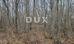 Zemljiste, Buzet, Sveti Donat, prodaja, 99000 €, 13520 m2