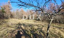 Zemljiste, Buzet, Sveti Donat, prodaja, 115000 €, 5189 m2