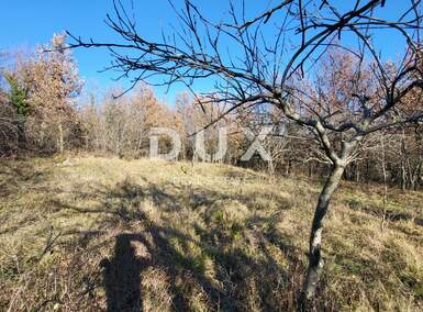 Zemljiste, Buzet, Sveti Donat, prodaja, 115000 €, 5189 m2