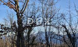 Zemljiste, Kršan, prodaja, 250000 €, 7842 m2