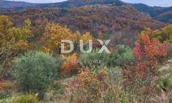 Zemljiste, Buzet, prodaja, 33000 €, 8721 m2