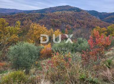 Zemljiste, Buzet, prodaja, 33000 €, 8721 m2