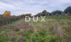 Zemljiste, Buzet, prodaja, 30000 €, 2284 m2