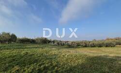 Zemljiste, Buje, prodaja, 250000 €, 1423 m2