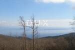 Zemljiste, Opatija, Veprinac, prodaja, 660000 €, 9120 m2