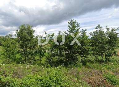 Zemljiste, Labin, prodaja, 1 €, 4648 m2