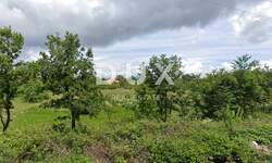 Zemljiste, Labin, prodaja, 1 €, 3508 m2