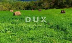 Zemljiste, Pazin, Butoniga, prodaja, 36000 €, 8778 m2