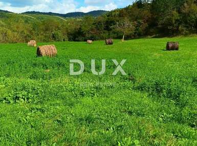 Zemljiste, Pazin, Butoniga, prodaja, 36000 €, 8778 m2