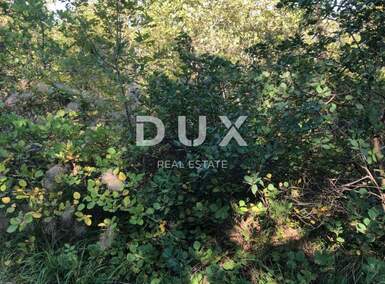 Zemljiste, Pićan, prodaja, 14000 €, 2580 m2