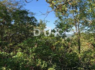 Zemljiste, Pićan, prodaja, 34000 €, 6251 m2