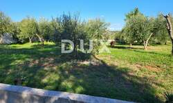 Zemljiste, Poreč, prodaja, 209000 €, 836 m2