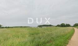 Zemljiste, Kaštelir-Labinci, Kaštelir, prodaja, 310000 €, 32619 m2