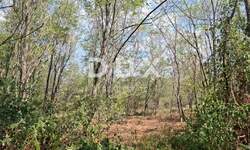 Zemljiste, Kaštelir-Labinci, Kaštelir, prodaja, 74700 €, 7470 m2